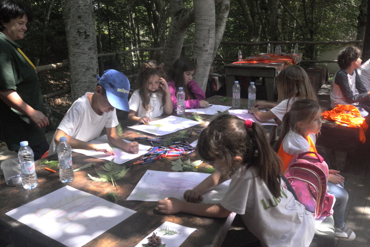 Дети рисуют мелками на открытом воздухе | Lucky Kids